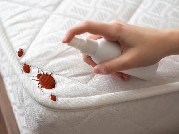 Best Indoor Pest Control  in Denver, CO